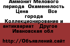 Аммонит Мелового периода. Окаменелость. › Цена ­ 2 800 - Все города Коллекционирование и антиквариат » Другое   . Ивановская обл.